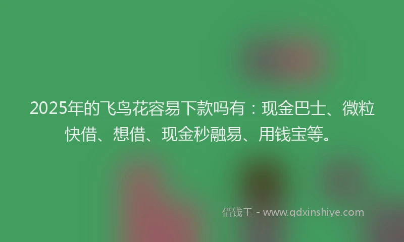2025年的飞鸟花容易下款吗有：现金巴士、微粒快借、想借、现金秒融易、用钱宝等。
