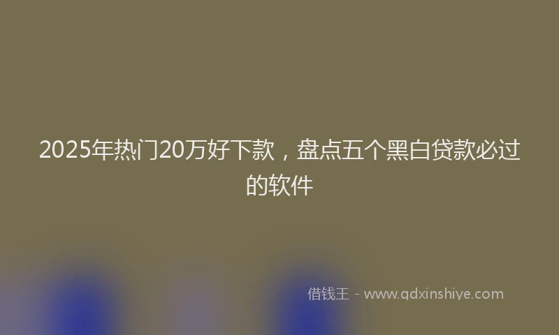 2025年热门20万好下款，盘点五个黑白贷款必过的软件