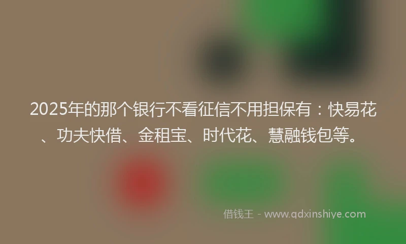 2025年的那个银行不看征信不用担保有：快易花、功夫快借、金租宝、时代花、慧融钱包等。