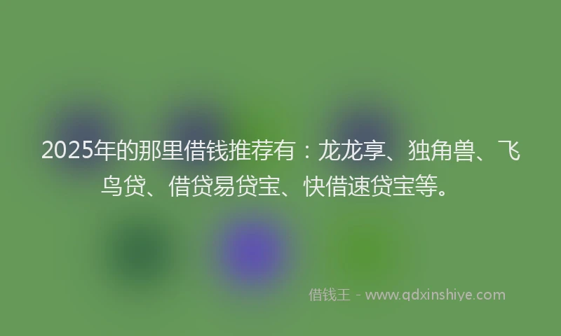 2025年的那里借钱推荐有：龙龙享、独角兽、飞鸟贷、借贷易贷宝、快借速贷宝等。