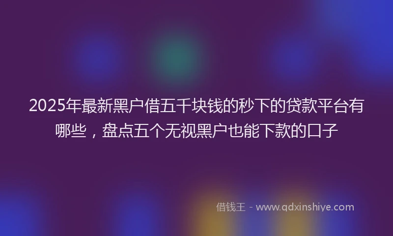 2025年最新黑户借五千块钱的秒下的贷款平台有哪些，盘点五个无视黑户也能下款的口子