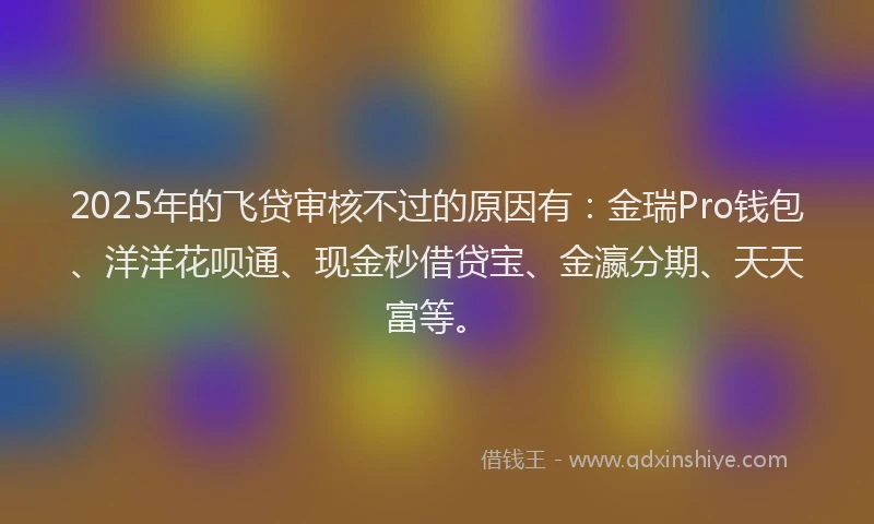 2025年的飞贷审核不过的原因有：金瑞Pro钱包、洋洋花呗通、现金秒借贷宝、金瀛分期、天天富等。