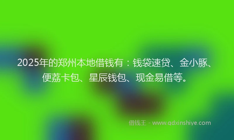 2025年的郑州本地借钱有：钱袋速贷、金小豚、便荔卡包、星辰钱包、现金易借等。