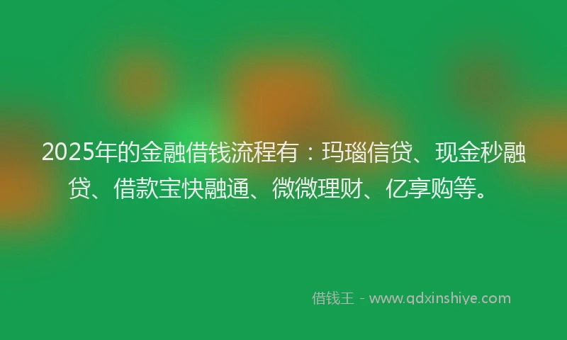 2025年的金融借钱流程有：玛瑙信贷、现金秒融贷、借款宝快融通、微微理财、亿享购等。