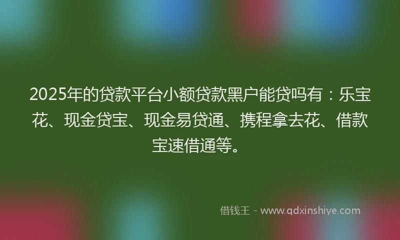 2025年的贷款平台小额贷款黑户能贷吗有：乐宝花、现金贷宝、现金易贷通、携程拿去花、借款宝速借通等。