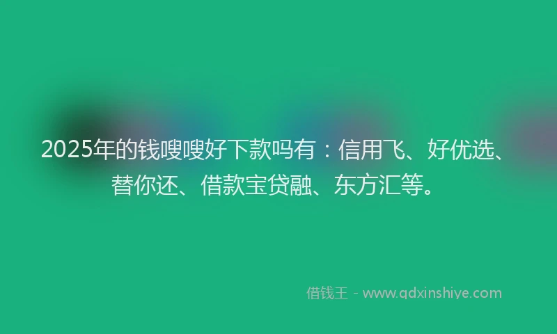 2025年的钱嗖嗖好下款吗有：信用飞、好优选、替你还、借款宝贷融、东方汇等。