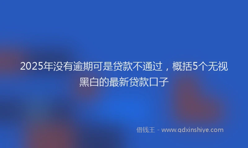 2025年没有逾期可是贷款不通过，概括5个无视黑白的最新贷款口子