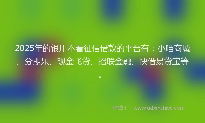 2025年的银川不看征信借款的平台有：小喵商城、分期乐、现金飞贷、招联金融、快借易贷宝等。