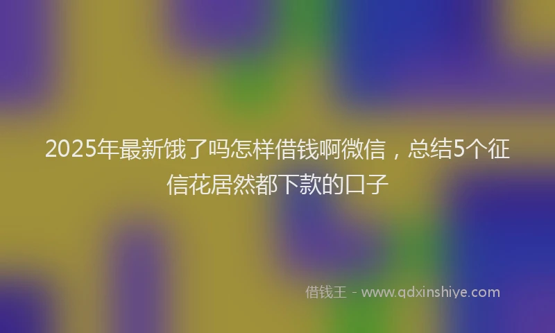 2025年最新饿了吗怎样借钱啊微信，总结5个征信花居然都下款的口子
