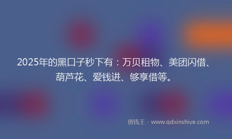 2025年的黑口子秒下有：万贝租物、美团闪借、葫芦花、爱钱进、够享借等。