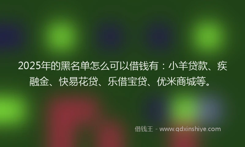 2025年的黑名单怎么可以借钱有：小羊贷款、疾融金、快易花贷、乐借宝贷、优米商城等。