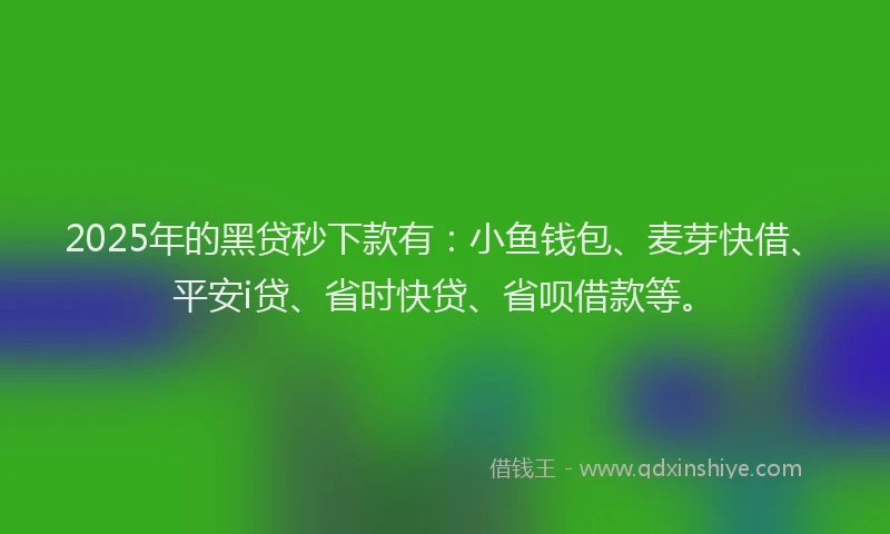 2025年的黑贷秒下款有：小鱼钱包、麦芽快借、平安i贷、省时快贷、省呗借款等。