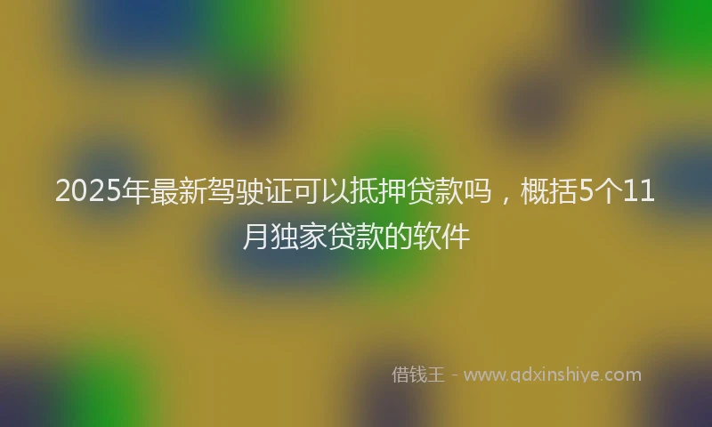 2025年最新驾驶证可以抵押贷款吗，概括5个11月独家贷款的软件