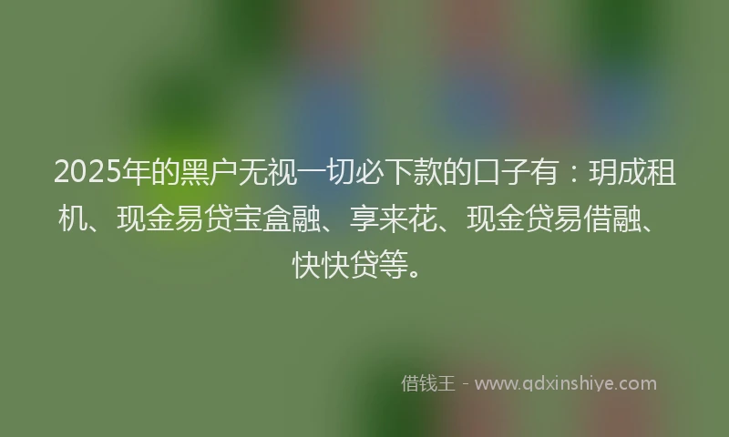 2025年的黑户无视一切必下款的口子有：玥成租机、现金易贷宝盒融、享来花、现金贷易借融、快快贷等。