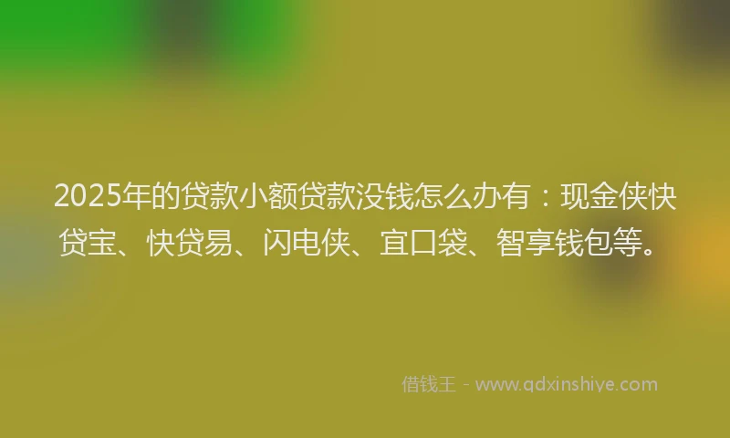 2025年的贷款小额贷款没钱怎么办有：现金侠快贷宝、快贷易、闪电侠、宜口袋、智享钱包等。