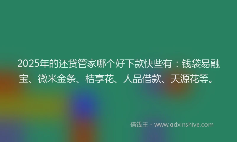 2025年的还贷管家哪个好下款快些有：钱袋易融宝、微米金条、桔享花、人品借款、天源花等。