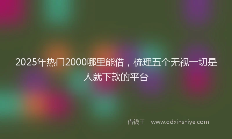 2025年热门2000哪里能借，梳理五个无视一切是人就下款的平台