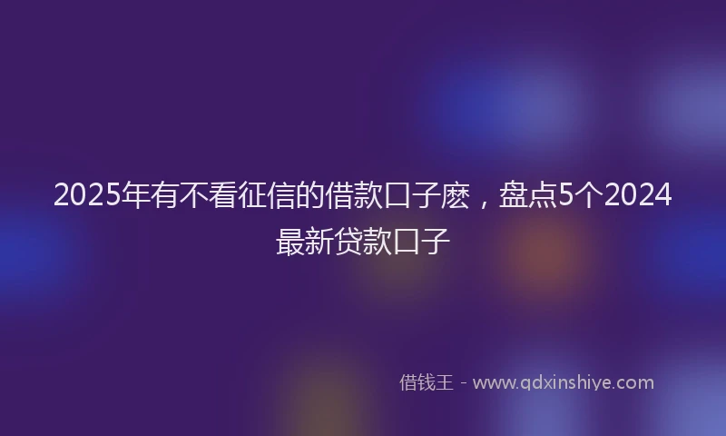2025年有不看征信的借款口子麽，盘点5个2024最新贷款口子