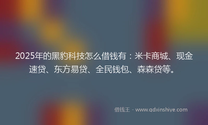 2025年的黑豹科技怎么借钱有：米卡商城、现金速贷、东方易贷、全民钱包、森森贷等。