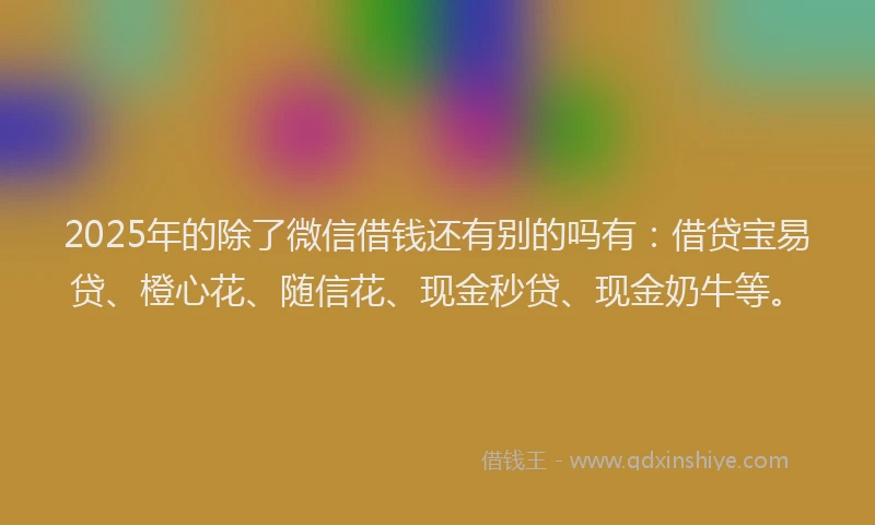 2025年的除了微信借钱还有别的吗有：借贷宝易贷、橙心花、随信花、现金秒贷、现金奶牛等。