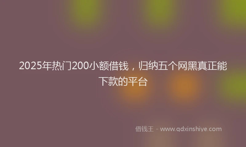 2025年热门200小额借钱，归纳五个网黑真正能下款的平台