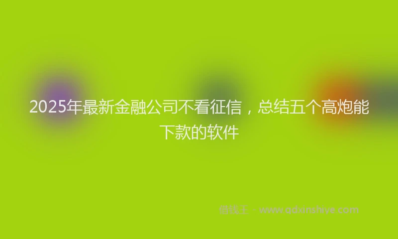 2025年最新金融公司不看征信，总结五个高炮能下款的软件