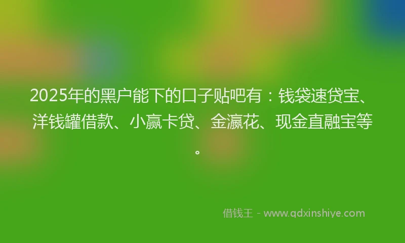 2025年的黑户能下的口子贴吧有：钱袋速贷宝、洋钱罐借款、小赢卡贷、金瀛花、现金直融宝等。
