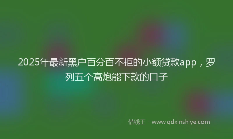 2025年最新黑户百分百不拒的小额贷款app，罗列五个高炮能下款的口子