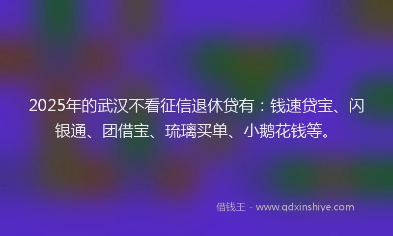 2025年的武汉不看征信退休贷有：钱速贷宝、闪银通、团借宝、琉璃买单、小鹅花钱等。