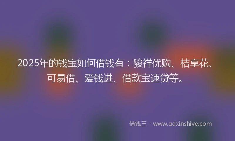 2025年的钱宝如何借钱有：骏祥优购、桔享花、可易借、爱钱进、借款宝速贷等。