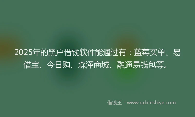 2025年的黑户借钱软件能通过有：蓝莓买单、易借宝、今日购、森泽商城、融通易钱包等。