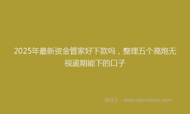 2025年最新资金管家好下款吗，整理五个高炮无视逾期能下的口子