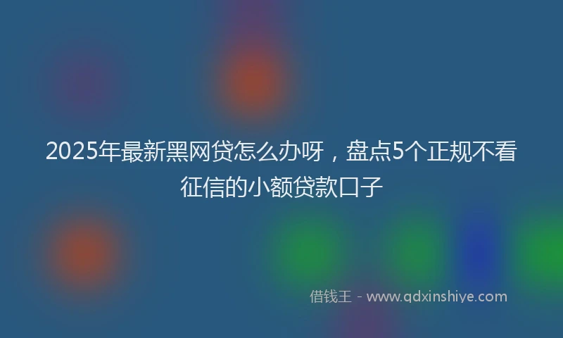 2025年最新黑网贷怎么办呀，盘点5个正规不看征信的小额贷款口子