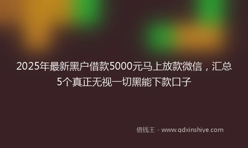 2025年最新黑户借款5000元马上放款微信，汇总5个真正无视一切黑能下款口子