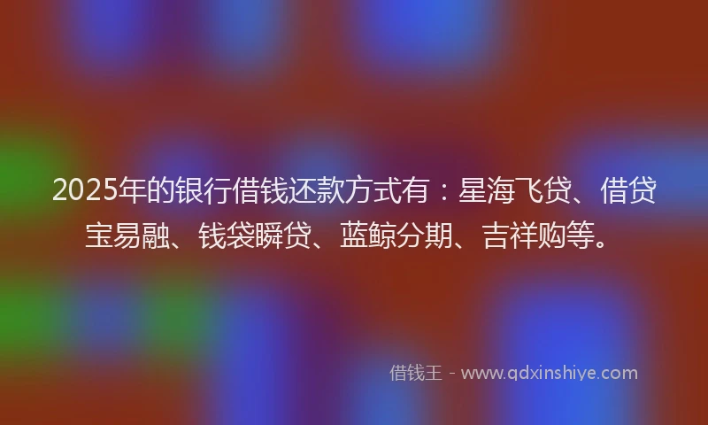 2025年的银行借钱还款方式有：星海飞贷、借贷宝易融、钱袋瞬贷、蓝鲸分期、吉祥购等。