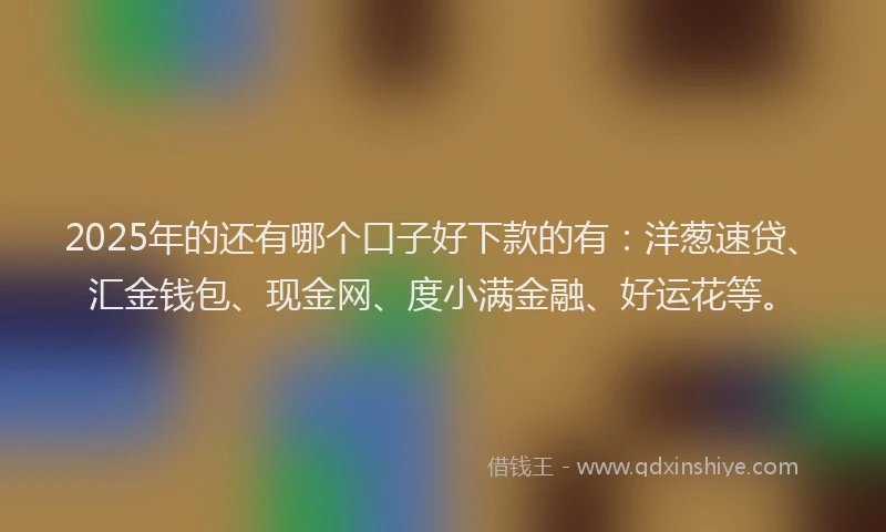 2025年的还有哪个口子好下款的有：洋葱速贷、汇金钱包、现金网、度小满金融、好运花等。