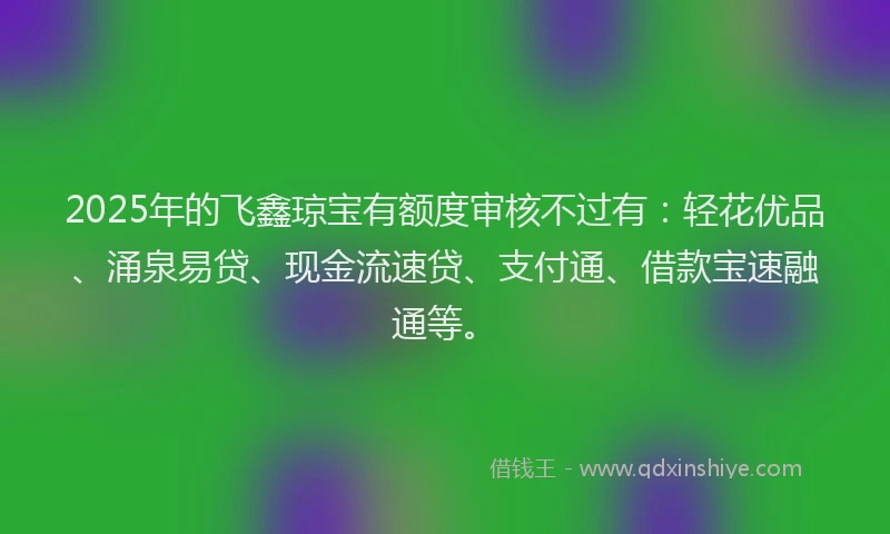 2025年的飞鑫琼宝有额度审核不过有：轻花优品、涌泉易贷、现金流速贷、支付通、借款宝速融通等。
