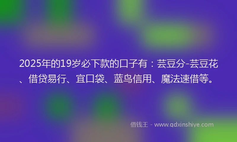 2025年的19岁必下款的口子有：芸豆分-芸豆花、借贷易行、宜口袋、蓝鸟信用、魔法速借等。