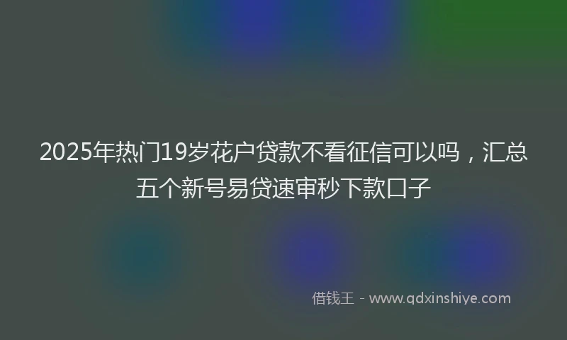 2025年热门19岁花户贷款不看征信可以吗，汇总五个新号易贷速审秒下款口子