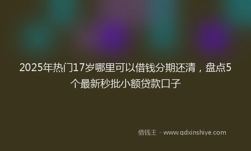 2025年热门17岁哪里可以借钱分期还清，盘点5个最新秒批小额贷款口子