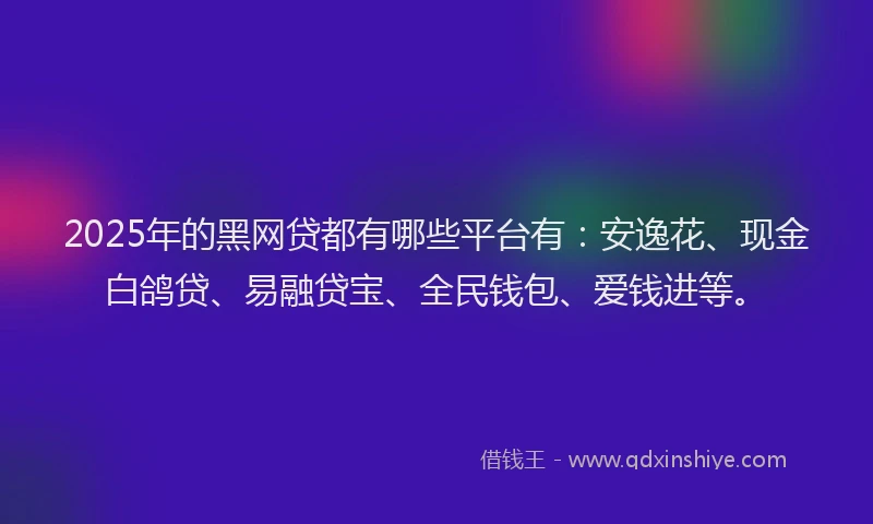 2025年的黑网贷都有哪些平台有：安逸花、现金白鸽贷、易融贷宝、全民钱包、爱钱进等。