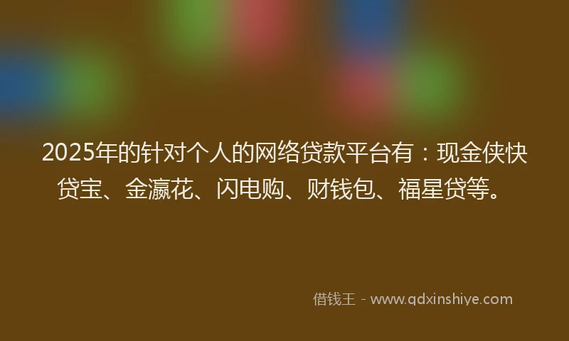 2025年的针对个人的网络贷款平台有：现金侠快贷宝、金瀛花、闪电购、财钱包、福星贷等。
