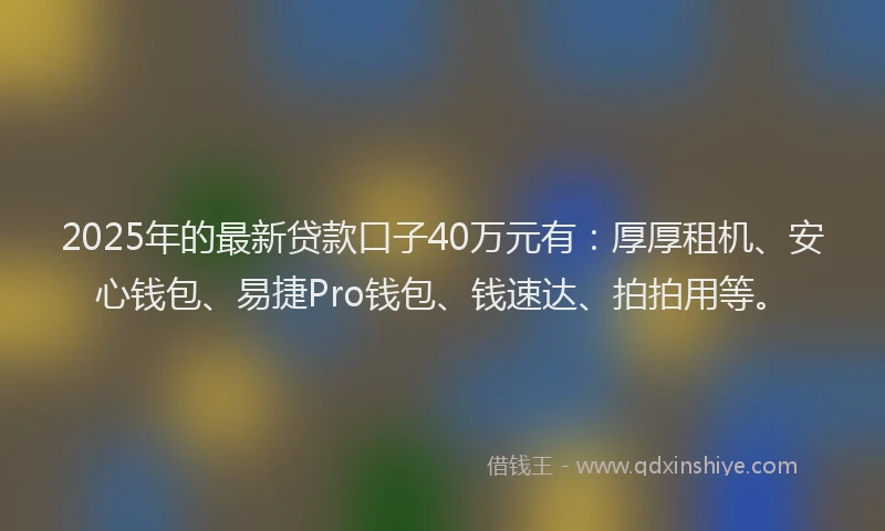2025年的最新贷款口子40万元有：厚厚租机、安心钱包、易捷Pro钱包、钱速达、拍拍用等。