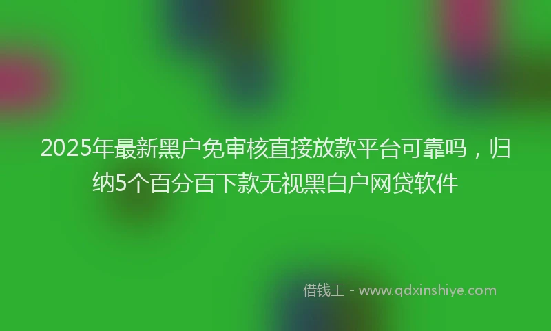 2025年最新黑户免审核直接放款平台可靠吗，归纳5个百分百下款无视黑白户网贷软件