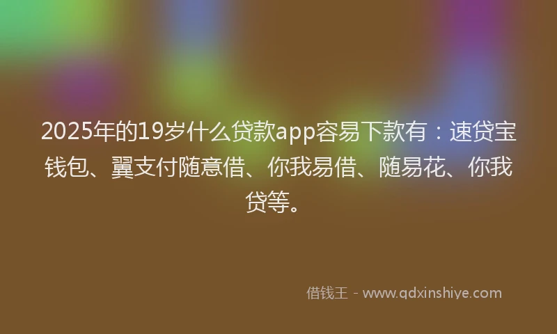 2025年的19岁什么贷款app容易下款有：速贷宝钱包、翼支付随意借、你我易借、随易花、你我贷等。