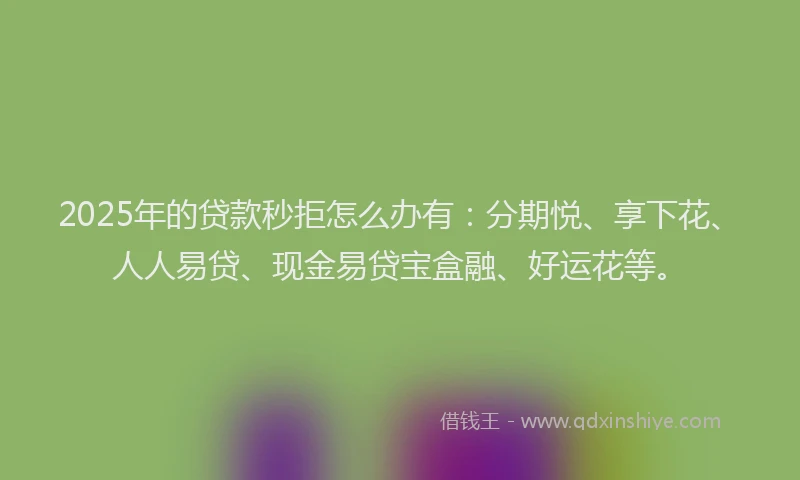 2025年的贷款秒拒怎么办有：分期悦、享下花、人人易贷、现金易贷宝盒融、好运花等。