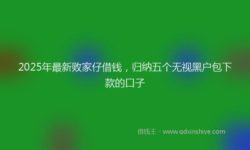 2025年最新败家仔借钱，归纳五个无视黑户包下款的口子