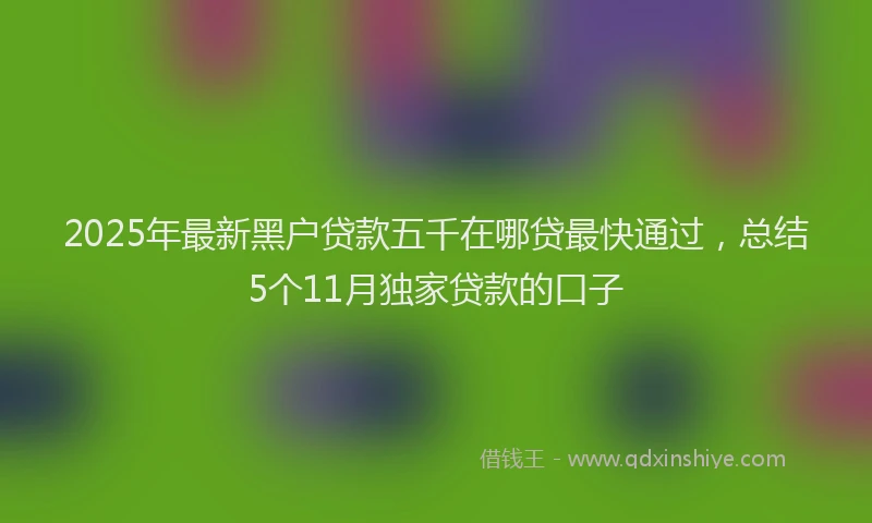 2025年最新黑户贷款五千在哪贷最快通过，总结5个11月独家贷款的口子