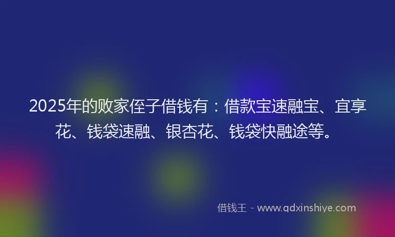 2025年的败家侄子借钱有：借款宝速融宝、宜享花、钱袋速融、银杏花、钱袋快融途等。
