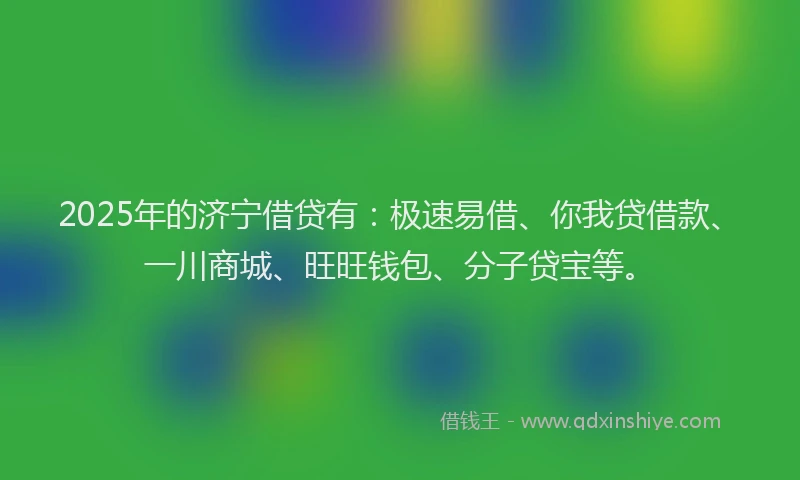 2025年的济宁借贷有：极速易借、你我贷借款、一川商城、旺旺钱包、分子贷宝等。